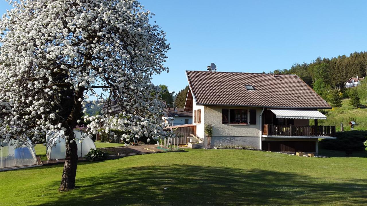 Les Jumeaux Apartment Granges-sur-Vologne Exterior photo